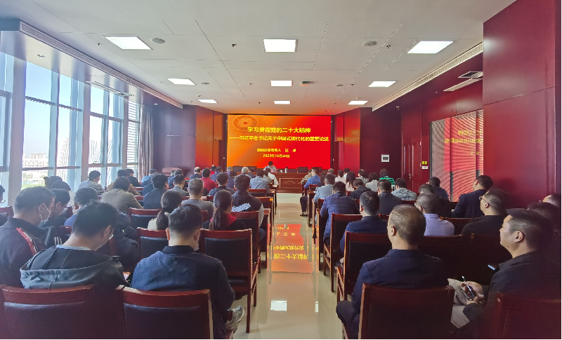 紧跟核心强忠诚 在深学细悟中坚定信仰信念 ——华体会网页版-华体会（中国）官方在线登录
负责人汪洋同志为全体党员讲授主题教育专题党课